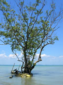 หาดไร่เลย์ หาดไร่เลย์ตะวันออก อ่าวไร่เลย์ตะวันออก อ.เมือง จ.กระบี่ 